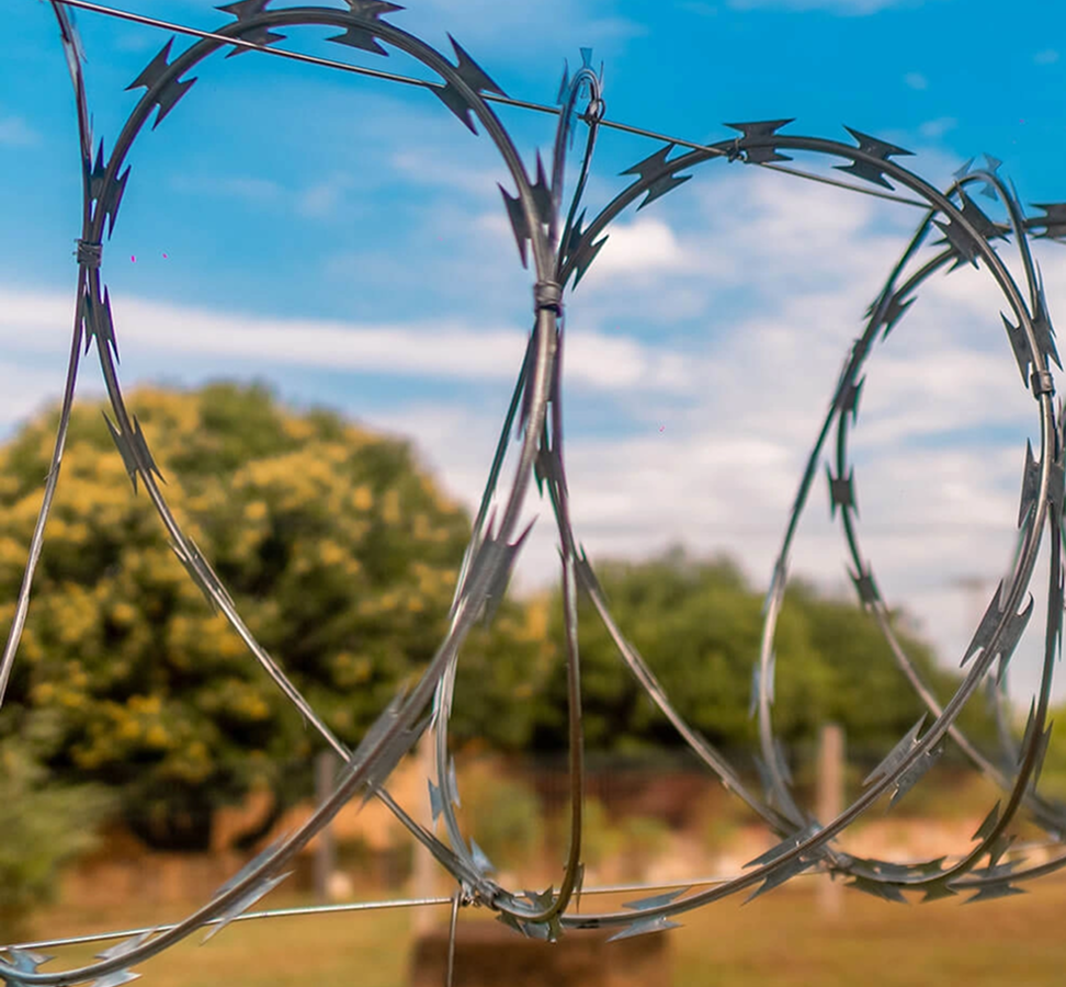 Imagem secundária do produto CONCERTINA CLIPADA 30CM X 5M